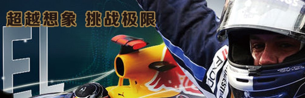 法力龙（法国）石油有限公司